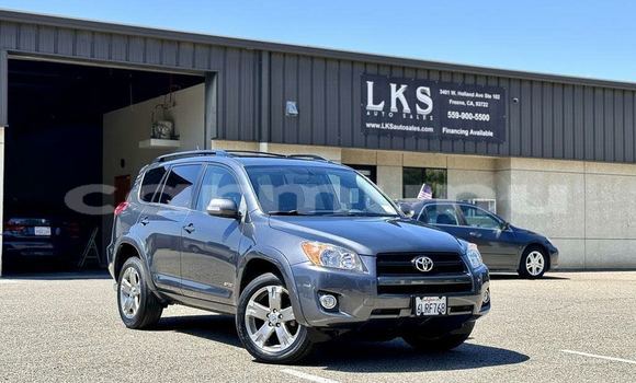 Acheter Occasion Voiture Toyota RAV4 Marron à Import - Dubai, Région de la Bouenza Acheter Occasion Voiture Toyota RAV4 Marron à Import - Dubai, Région de la Bouenza