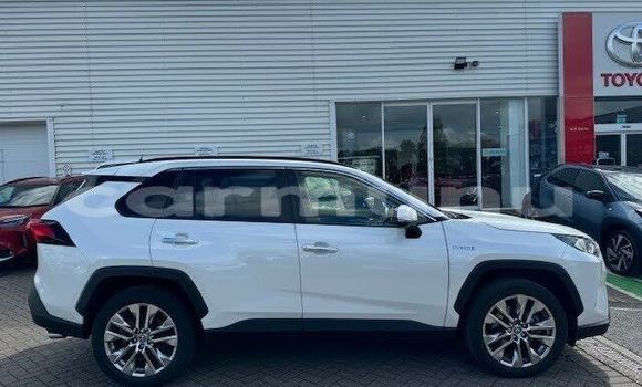 Acheter Occasion Voiture Toyota RAV4 Marron à Kinkala, Pool Acheter Occasion Voiture Toyota RAV4 Marron à Kinkala, Pool