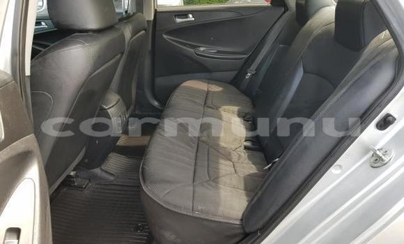 Buy Used Hyundai Sonata Silver Car in Brazzaville in Municipality of Brazzaville Buy Used Hyundai Sonata Silver Car in Brazzaville in Municipality of Brazzaville
