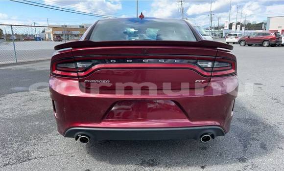 Buy Used Dodge Charger Red Car in Brazzaville in Municipality of Brazzaville Buy Used Dodge Charger Red Car in Brazzaville in Municipality of Brazzaville