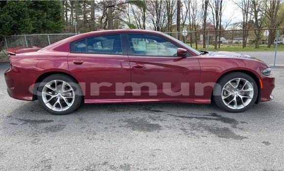 Buy Used Dodge Charger Red Car in Brazzaville in Municipality of Brazzaville Buy Used Dodge Charger Red Car in Brazzaville in Municipality of Brazzaville