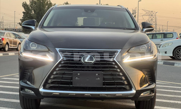 Buy Used Lexus NX Black Car in Import - Dubai in Region of Bouenza Buy Used Lexus NX Black Car in Import - Dubai in Region of Bouenza