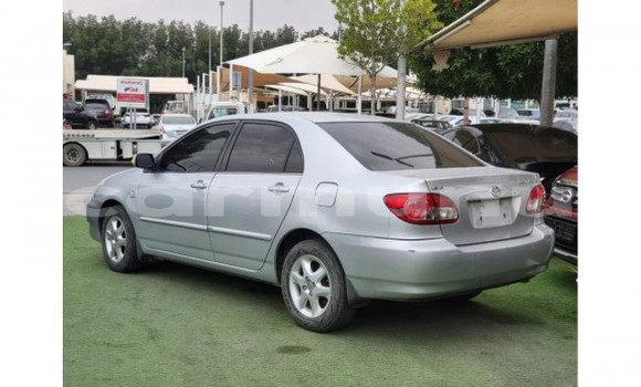 Buy Used Toyota Corolla Silver Car in Brazzaville in Municipality of Brazzaville Buy Used Toyota Corolla Silver Car in Brazzaville in Municipality of Brazzaville