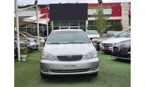 Buy Used Toyota Corolla Silver Car in Brazzaville in Municipality of Brazzaville Buy Used Toyota Corolla Silver Car in Brazzaville in Municipality of Brazzaville