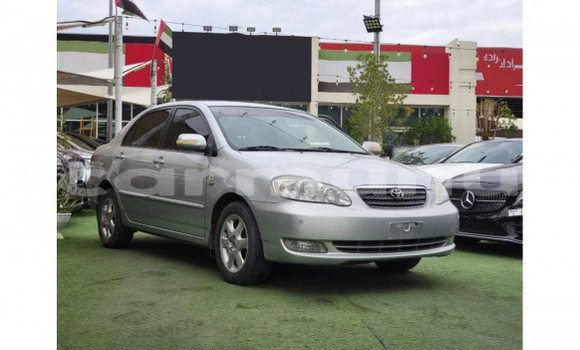 Buy Used Toyota Corolla Silver Car in Brazzaville in Municipality of Brazzaville Buy Used Toyota Corolla Silver Car in Brazzaville in Municipality of Brazzaville