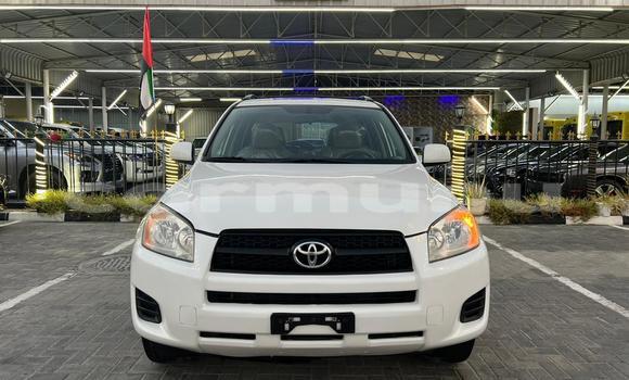Acheter Occasion Voiture Toyota RAV4 Blanc à Brazzaville, Commune de Brazzaville Acheter Occasion Voiture Toyota RAV4 Blanc à Brazzaville, Commune de Brazzaville