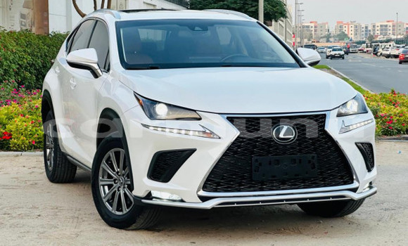 Buy Used Lexus NX White Car in Import - Dubai in Region of Bouenza Buy Used Lexus NX White Car in Import - Dubai in Region of Bouenza