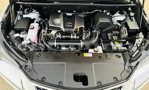 Buy Used Lexus NX White Car in Import - Dubai in Region of Bouenza Buy Used Lexus NX White Car in Import - Dubai in Region of Bouenza