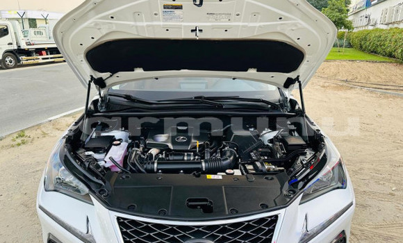 Buy Used Lexus NX White Car in Import - Dubai in Region of Bouenza Buy Used Lexus NX White Car in Import - Dubai in Region of Bouenza