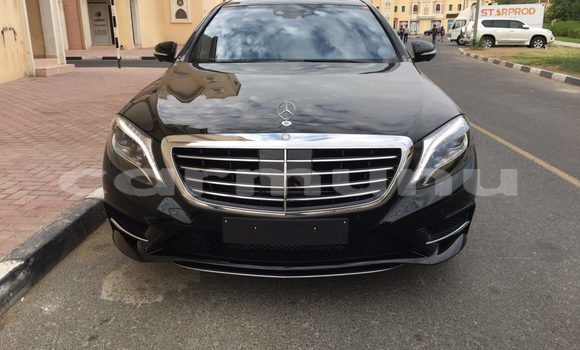 Buy Used Mercedes-Benz SLS AMG Black Car in Brazzaville in Municipality of Brazzaville Buy Used Mercedes-Benz SLS AMG Black Car in Brazzaville in Municipality of Brazzaville