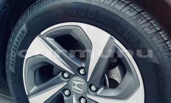 Buy Used Honda Insight Black Car in Brazzaville in Municipality of Brazzaville Buy Used Honda Insight Black Car in Brazzaville in Municipality of Brazzaville