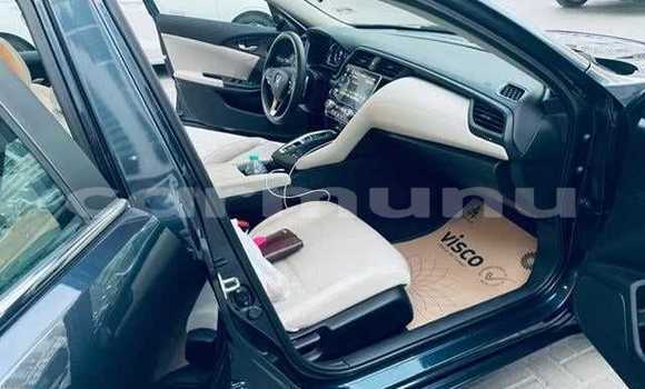 Buy Used Honda Insight Black Car in Brazzaville in Municipality of Brazzaville Buy Used Honda Insight Black Car in Brazzaville in Municipality of Brazzaville