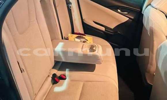 Buy Used Honda Insight Black Car in Brazzaville in Municipality of Brazzaville Buy Used Honda Insight Black Car in Brazzaville in Municipality of Brazzaville