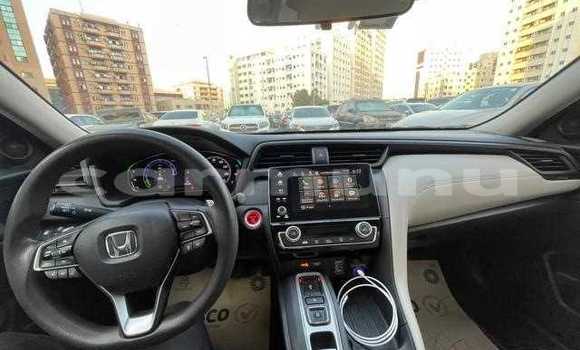 Buy Used Honda Insight Black Car in Brazzaville in Municipality of Brazzaville Buy Used Honda Insight Black Car in Brazzaville in Municipality of Brazzaville