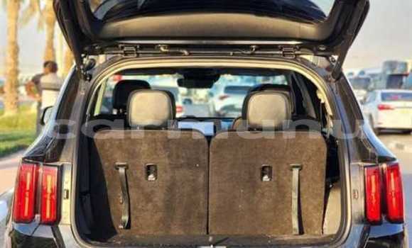 Buy Used Kia Sorento Black Car in Brazzaville in Municipality of Brazzaville Buy Used Kia Sorento Black Car in Brazzaville in Municipality of Brazzaville