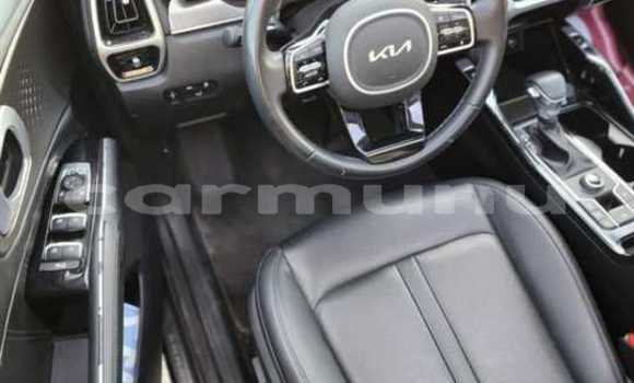 Buy Used Kia Sorento Black Car in Brazzaville in Municipality of Brazzaville Buy Used Kia Sorento Black Car in Brazzaville in Municipality of Brazzaville