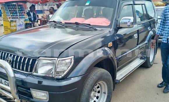 Buy Used Toyota Land Cruiser Prado Black Car in Brazzaville in Municipality of Brazzaville Buy Used Toyota Land Cruiser Prado Black Car in Brazzaville in Municipality of Brazzaville
