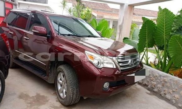 Buy Used Lexus GX Red Car in Brazzaville in Municipality of Brazzaville Buy Used Lexus GX Red Car in Brazzaville in Municipality of Brazzaville