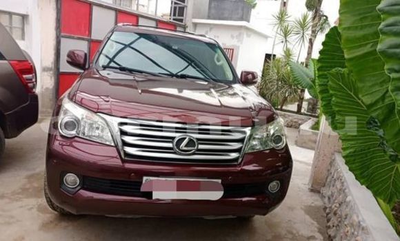 Buy Used Lexus GX Red Car in Brazzaville in Municipality of Brazzaville Buy Used Lexus GX Red Car in Brazzaville in Municipality of Brazzaville