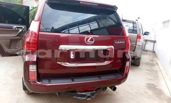 Buy Used Lexus GX Red Car in Brazzaville in Municipality of Brazzaville Buy Used Lexus GX Red Car in Brazzaville in Municipality of Brazzaville