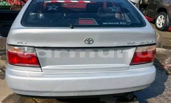 Buy Used Toyota Corolla Other Car in Brazzaville in Municipality of Brazzaville Buy Used Toyota Corolla Other Car in Brazzaville in Municipality of Brazzaville
