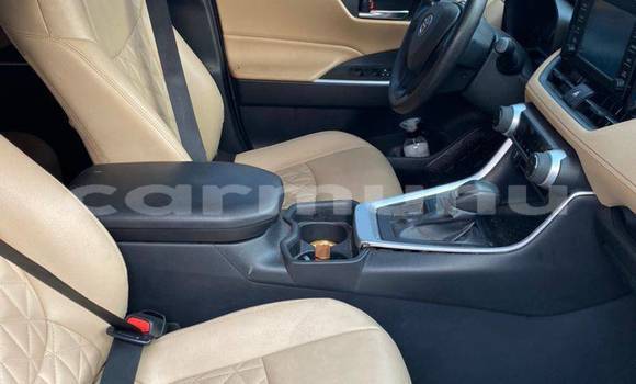 Buy Used Toyota RAV4 Red Car in Brazzaville in Municipality of Brazzaville Buy Used Toyota RAV4 Red Car in Brazzaville in Municipality of Brazzaville