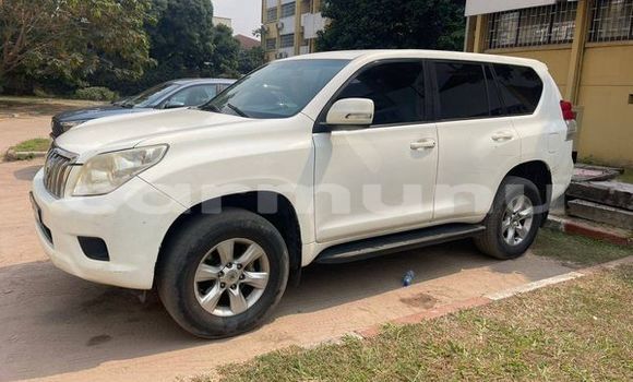 Buy Used Honda Accord Other Car in Brazzaville in Municipality of Brazzaville Buy Used Honda Accord Other Car in Brazzaville in Municipality of Brazzaville