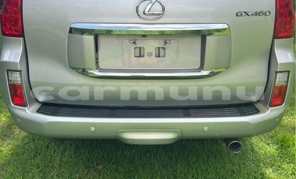 Acheter Neuf Voiture Lexus GX Gris à Pointe–Noire, Région du Kouilou