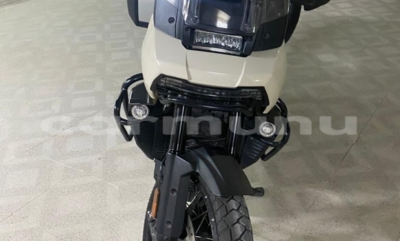 Acheter Occasion Moto Harley Davidson Dyna Autre à Brazzaville, Commune de Brazzaville Acheter Occasion Moto Harley Davidson Dyna Autre à Brazzaville, Commune de Brazzaville