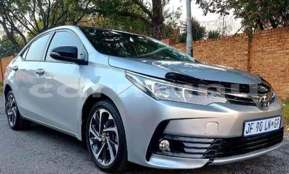 Buy Used Toyota Corolla Silver Car in Kinkala in pool Buy Used Toyota Corolla Silver Car in Kinkala in pool