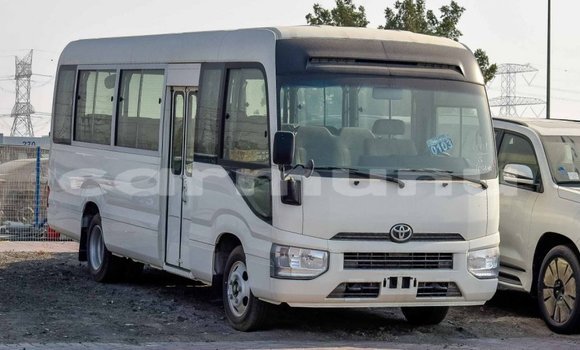 Buy Import Toyota Coaster White Car in Import - Dubai in Region of Bouenza Buy Import Toyota Coaster White Car in Import - Dubai in Region of Bouenza