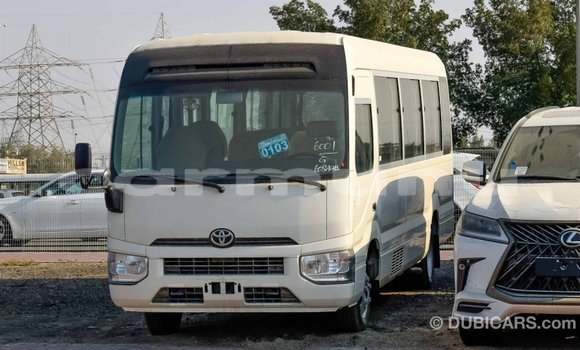 Buy Import Toyota Coaster White Car in Import - Dubai in Region of Bouenza Buy Import Toyota Coaster White Car in Import - Dubai in Region of Bouenza