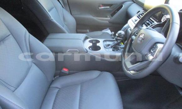 Buy Used Toyota Land Cruiser Silver Car in Brazzaville in Municipality of Brazzaville Buy Used Toyota Land Cruiser Silver Car in Brazzaville in Municipality of Brazzaville