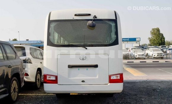 Buy Import Toyota Coaster White Car in Import - Dubai in Region of Bouenza Buy Import Toyota Coaster White Car in Import - Dubai in Region of Bouenza