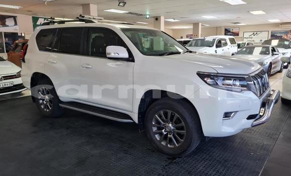 Buy Used Toyota Land Cruiser Prado White Car in Brazzaville in Municipality of Brazzaville Buy Used Toyota Land Cruiser Prado White Car in Brazzaville in Municipality of Brazzaville