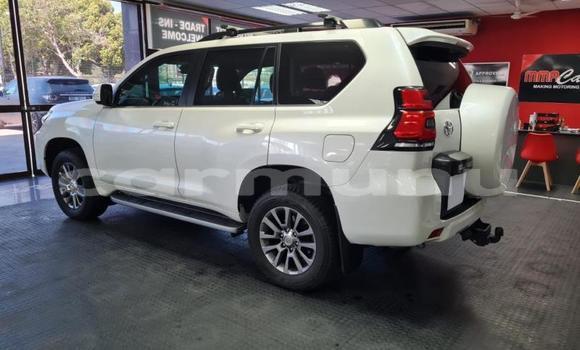 Buy Used Toyota Land Cruiser Prado White Car in Brazzaville in Municipality of Brazzaville Buy Used Toyota Land Cruiser Prado White Car in Brazzaville in Municipality of Brazzaville