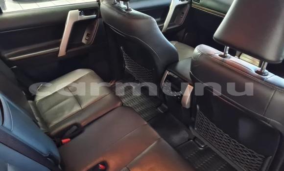 Buy Used Toyota Land Cruiser Prado White Car in Brazzaville in Municipality of Brazzaville Buy Used Toyota Land Cruiser Prado White Car in Brazzaville in Municipality of Brazzaville