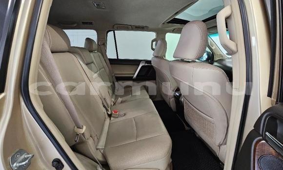 Acheter Occasion Voiture Toyota Land Cruiser Prado Autre à Brazzaville, Commune de Brazzaville Acheter Occasion Voiture Toyota Land Cruiser Prado Autre à Brazzaville, Commune de Brazzaville
