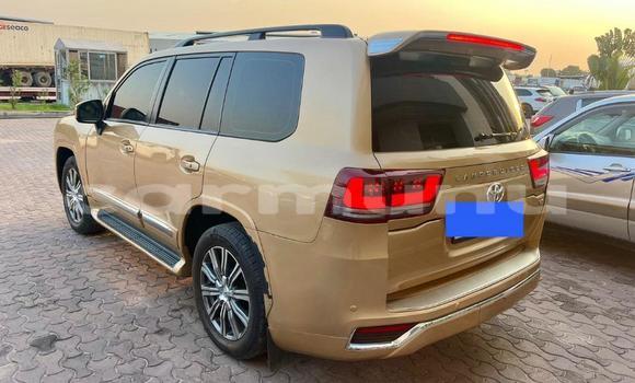 Acheter Occasion Voiture Toyota Land Cruiser Marron à Brazzaville, Commune de Brazzaville Acheter Occasion Voiture Toyota Land Cruiser Marron à Brazzaville, Commune de Brazzaville