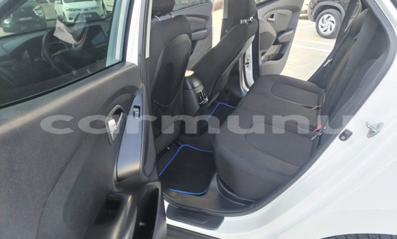 Buy Used Hyundai Tucson White Car in Brazzaville in Municipality of Brazzaville Buy Used Hyundai Tucson White Car in Brazzaville in Municipality of Brazzaville