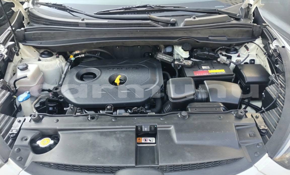 Buy Used Hyundai Tucson White Car in Brazzaville in Municipality of Brazzaville Buy Used Hyundai Tucson White Car in Brazzaville in Municipality of Brazzaville