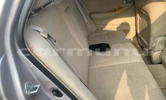 Acheter Occasion Voiture Toyota IST Gris à Brazzaville, Commune de Brazzaville Acheter Occasion Voiture Toyota IST Gris à Brazzaville, Commune de Brazzaville