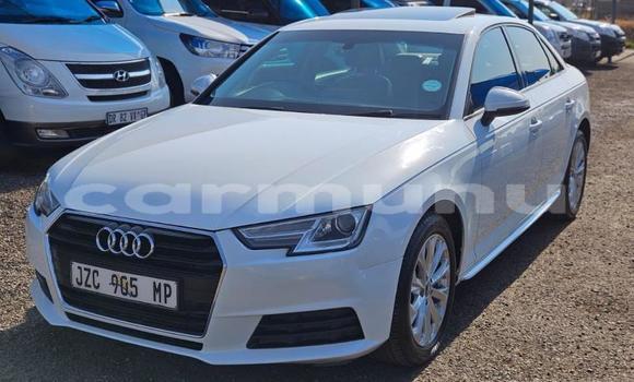 Buy Used Audi A4 White Car in Brazzaville in Municipality of Brazzaville Buy Used Audi A4 White Car in Brazzaville in Municipality of Brazzaville