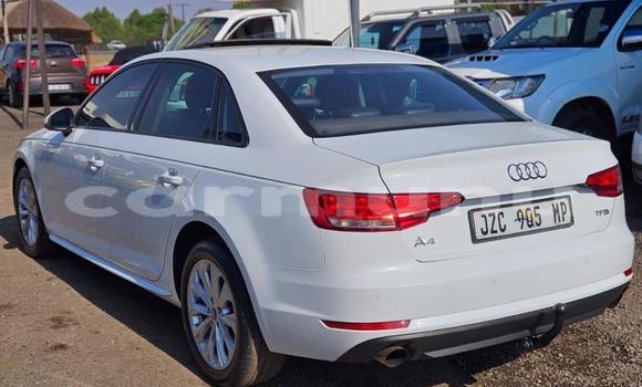 Buy Used Audi A4 White Car in Brazzaville in Municipality of Brazzaville Buy Used Audi A4 White Car in Brazzaville in Municipality of Brazzaville