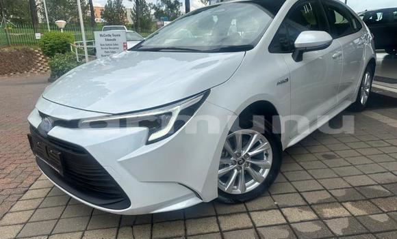 Buy Used Toyota Corolla White Car in Brazzaville in Municipality of Brazzaville Buy Used Toyota Corolla White Car in Brazzaville in Municipality of Brazzaville