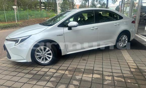 Buy Used Toyota Corolla White Car in Brazzaville in Municipality of Brazzaville Buy Used Toyota Corolla White Car in Brazzaville in Municipality of Brazzaville