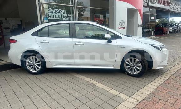Buy Used Toyota Corolla White Car in Brazzaville in Municipality of Brazzaville Buy Used Toyota Corolla White Car in Brazzaville in Municipality of Brazzaville