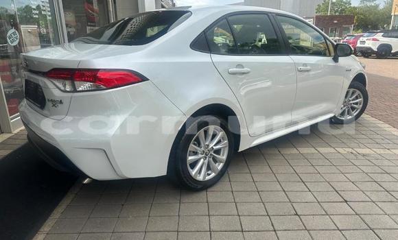 Buy Used Toyota Corolla White Car in Brazzaville in Municipality of Brazzaville Buy Used Toyota Corolla White Car in Brazzaville in Municipality of Brazzaville