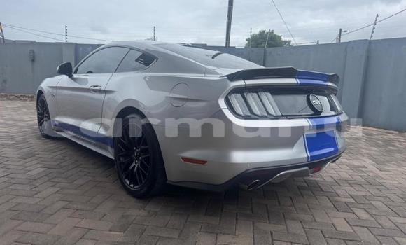 Acheter Occasion Voiture Ford Mustang Gris à Brazzaville, Commune de Brazzaville Acheter Occasion Voiture Ford Mustang Gris à Brazzaville, Commune de Brazzaville