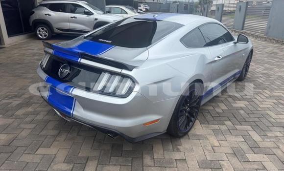 Acheter Occasion Voiture Ford Mustang Gris à Brazzaville, Commune de Brazzaville Acheter Occasion Voiture Ford Mustang Gris à Brazzaville, Commune de Brazzaville
